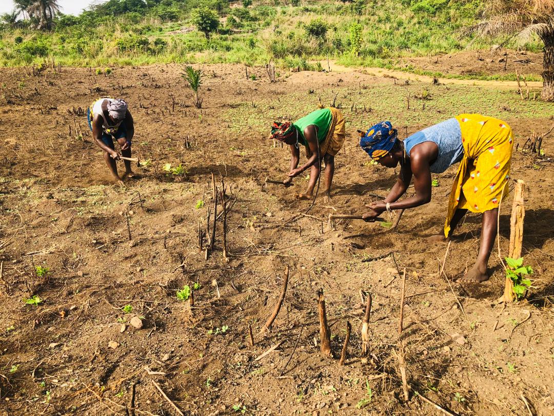Agriculture