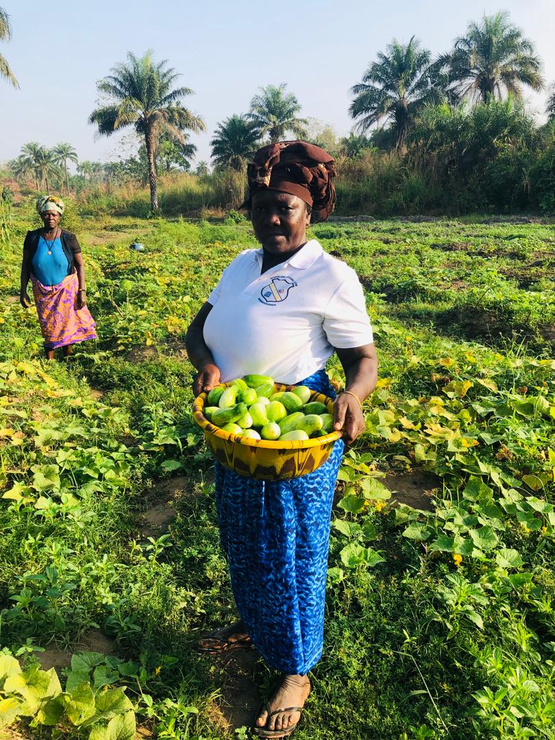 Agricultural Training Strengthens Food Security